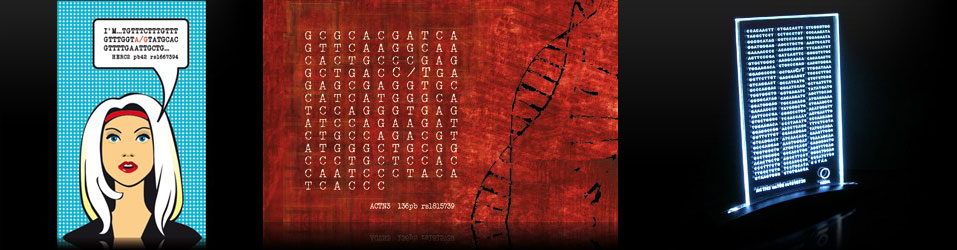 Base sequence